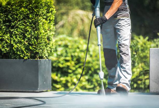 Best Pool Deck Cleaning  in Azalea Park, FL